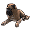 Tan Morthal Mastiff icon